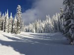 A 15-minute drive will get you to Whitefish Mountain Resort 